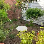 Writer\'S Cottage, Luxurious Oasis In The Heart Of North Hobart