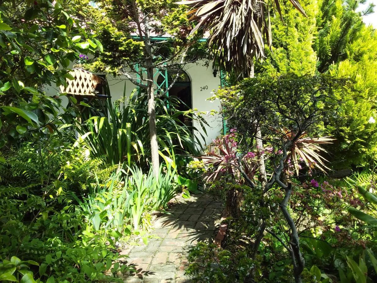 Josie's Holiday home Hobart