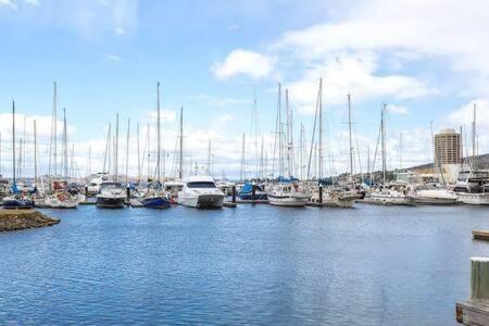 Cosy Renovated 2 Bed In Superb Location * Hobart