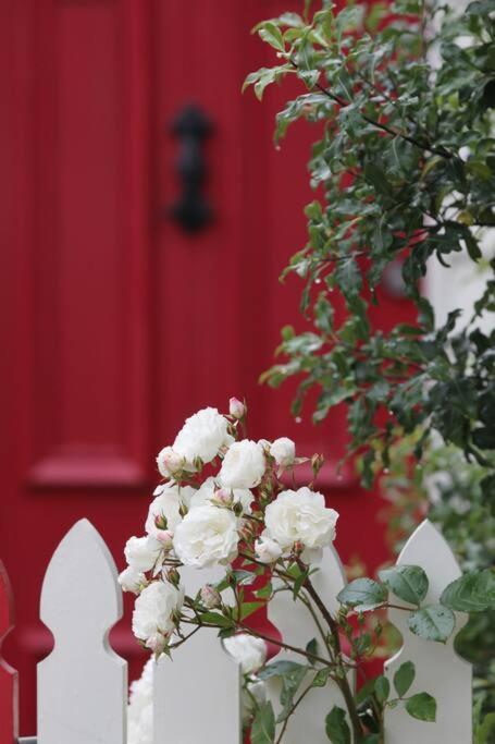 Writer's Cottage, Luxurious Oasis In The Heart Of North * Hobart