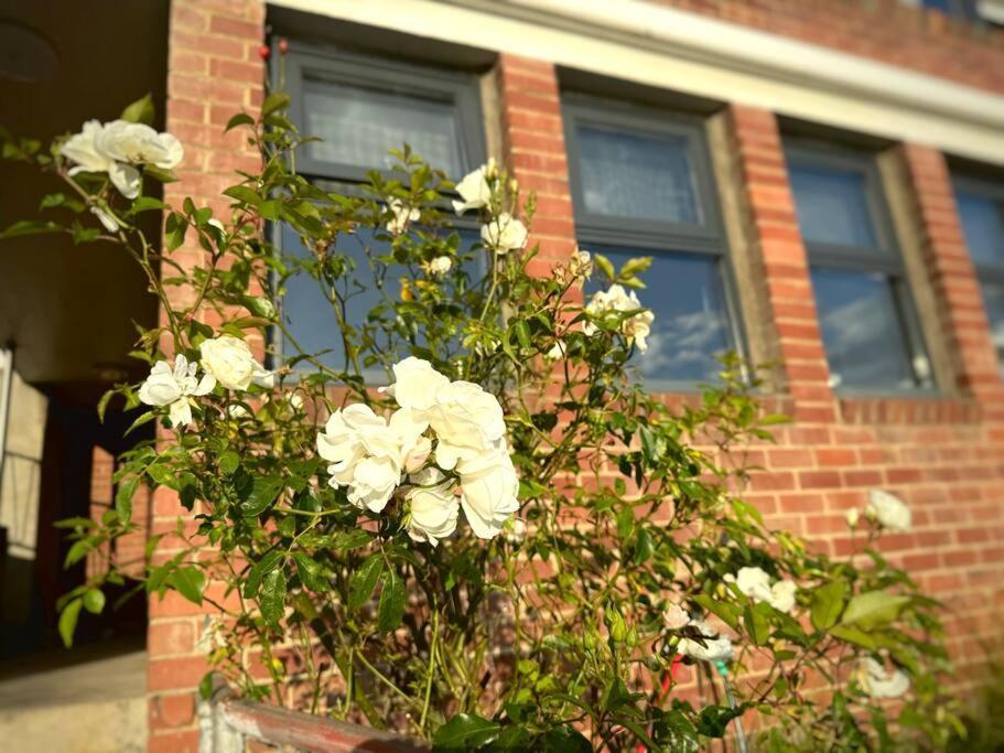 Apartment 1br - Walk To