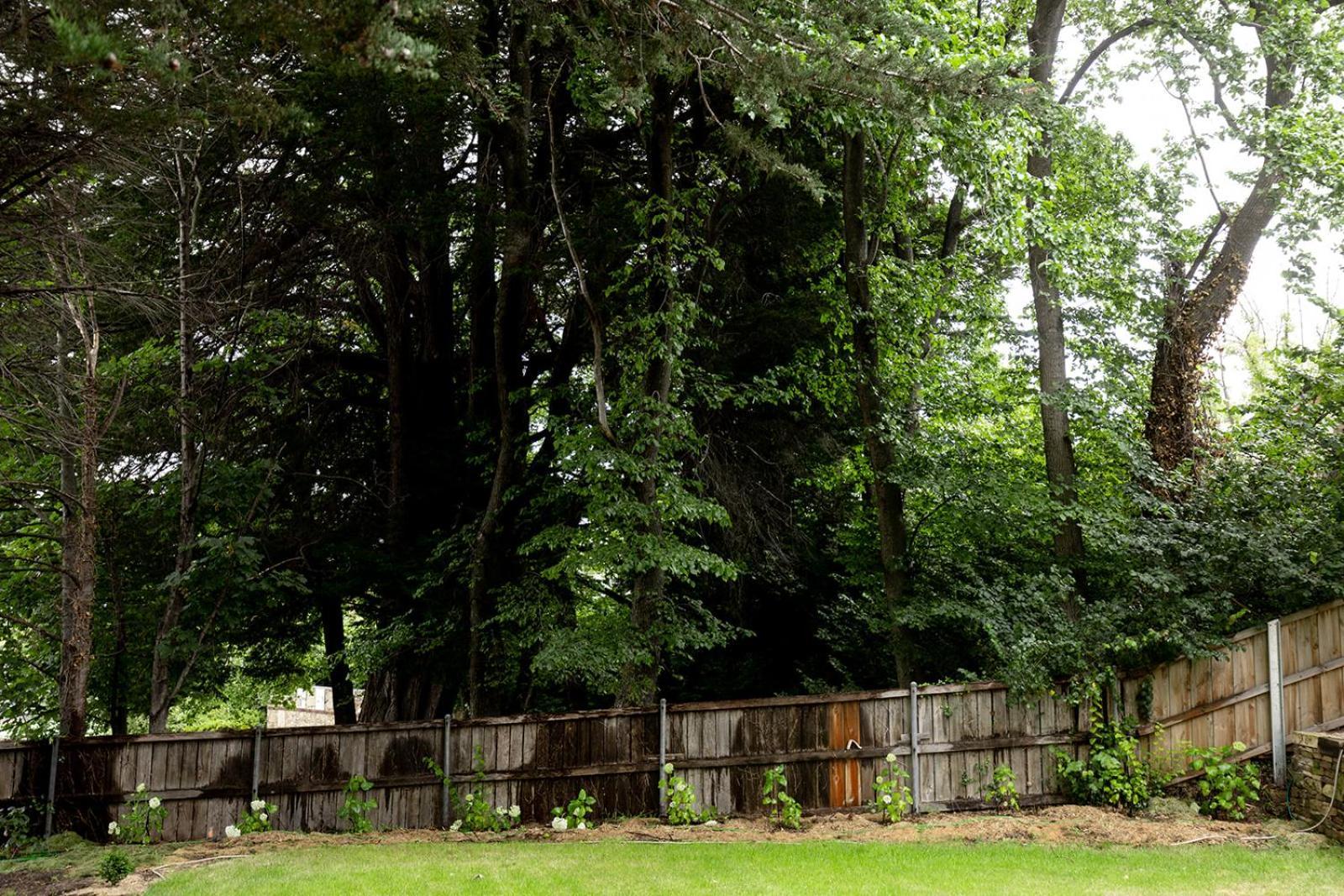 Buckley's Rest - 2 Bdrm In Battery Point Apartment *