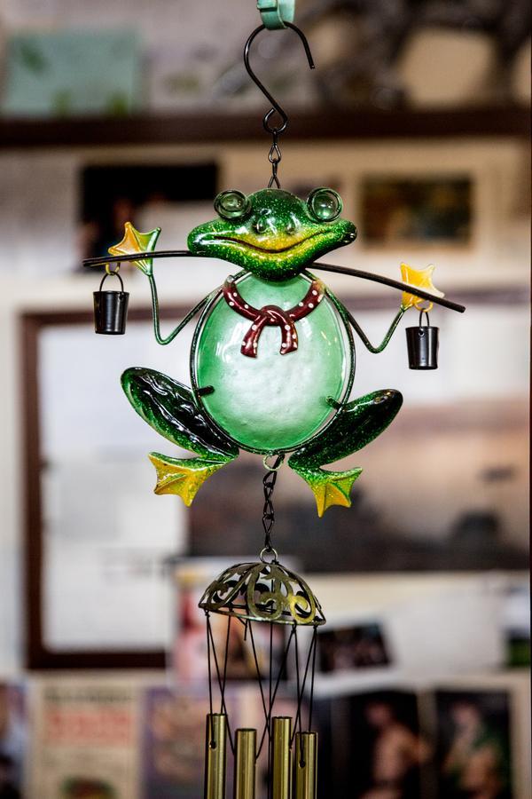 Hostel The Pickled Frog *