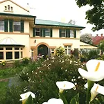 Elms Of Hobart
