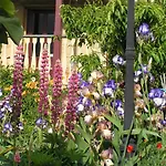 Bendalls Bed And Breakfast