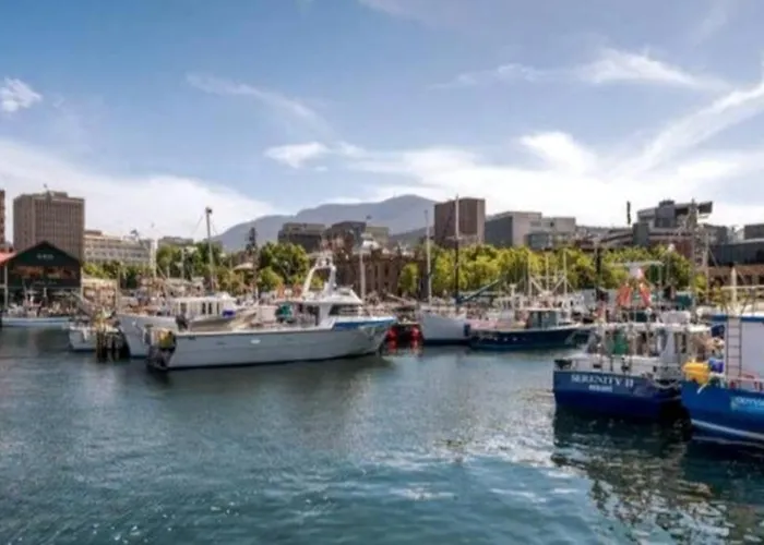 Boxwood Ixl Lux Hobart Waterfront