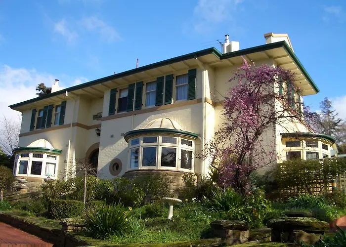 Elms Of Hobart
