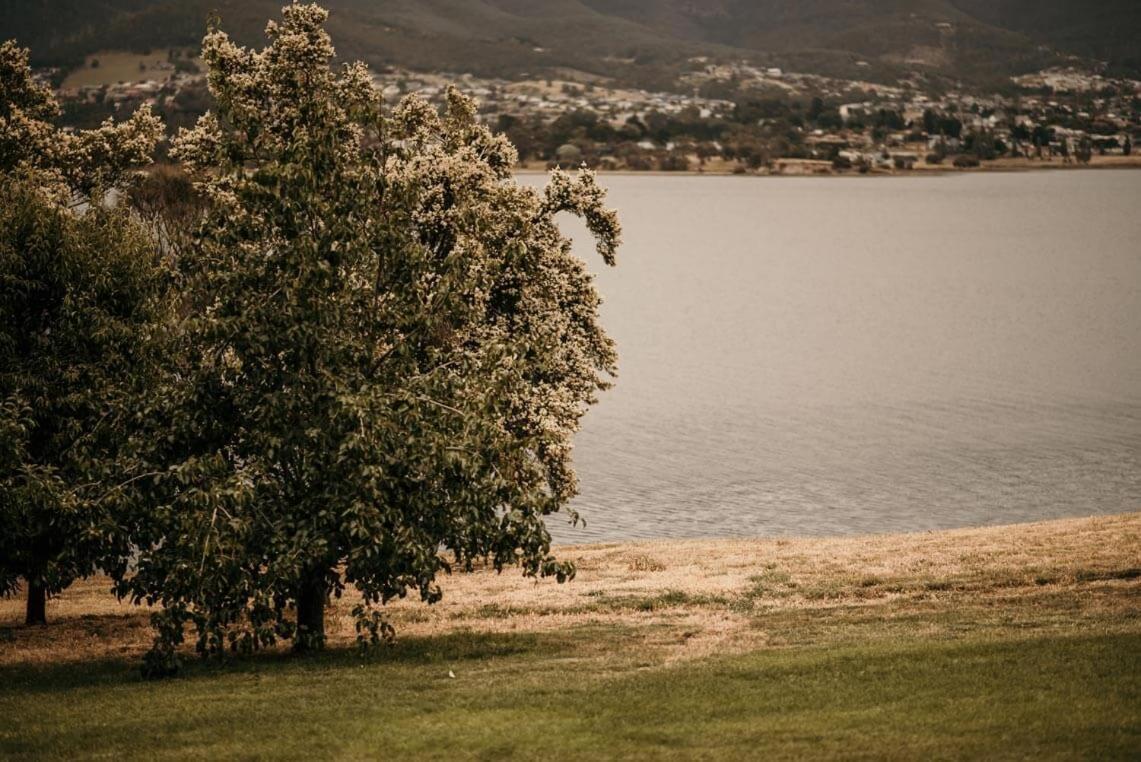 Bed & Breakfast Otago 4*