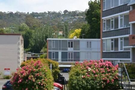 Modern 1 Bed-walk Casino Riverfront 5 Mins To Cbd * Hobart