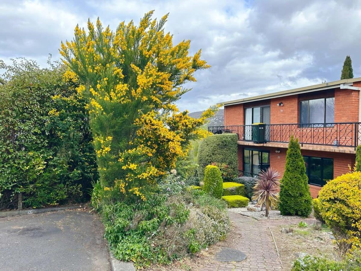 Horizons Hideout Close To Cbd Apartment