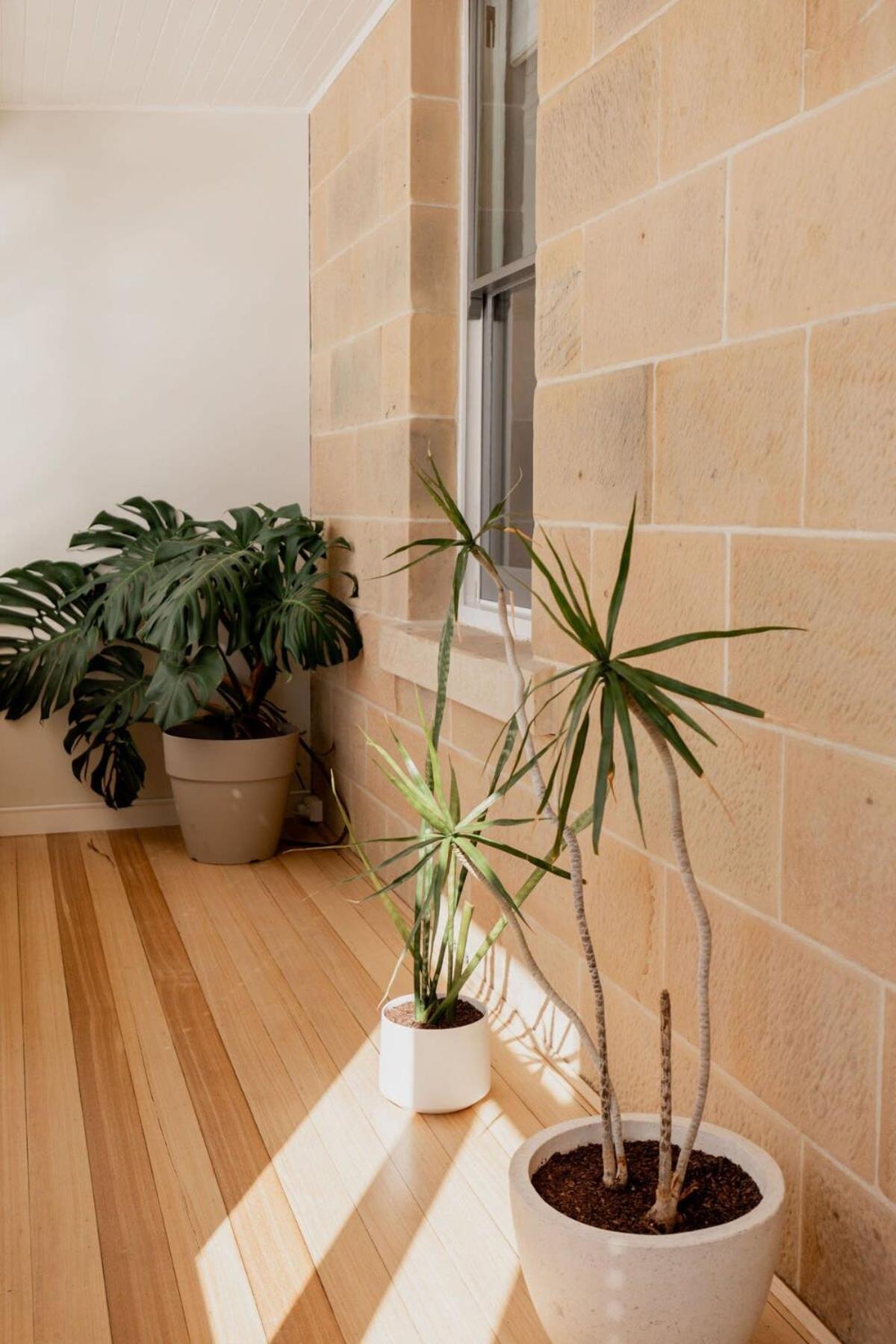 Holiday home 'wietenah' - Perfectly Renovated Historic