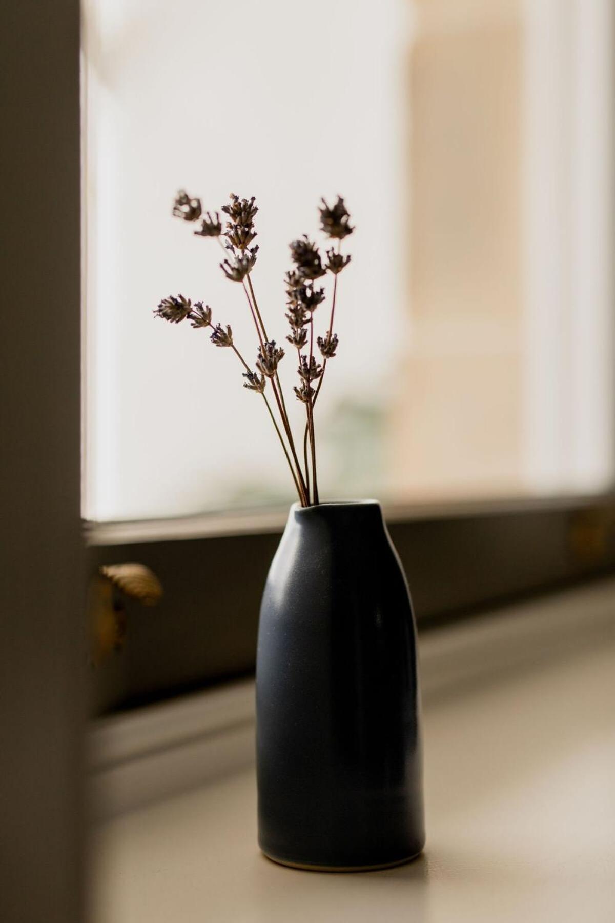 Holiday home 'wietenah' - Perfectly Renovated Historic