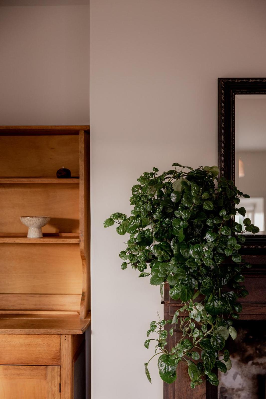 Cosy Heritage In West Holiday home Hobart