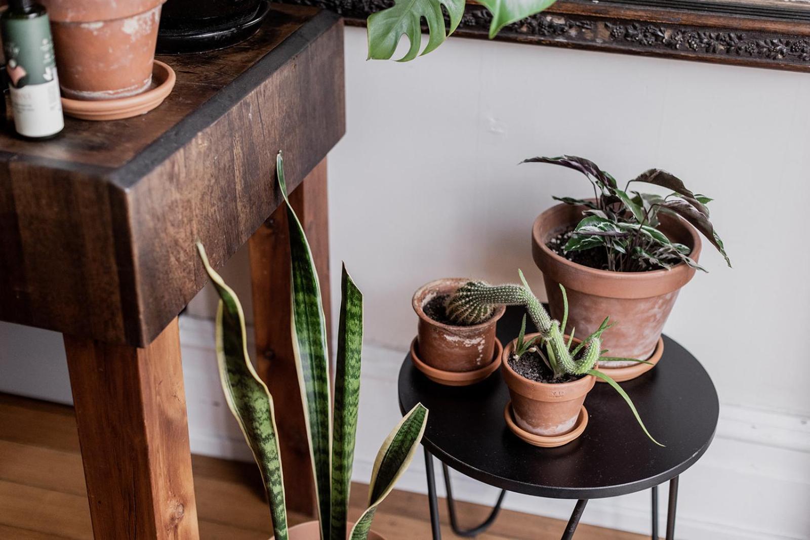 Central Hobart Studio Apartment