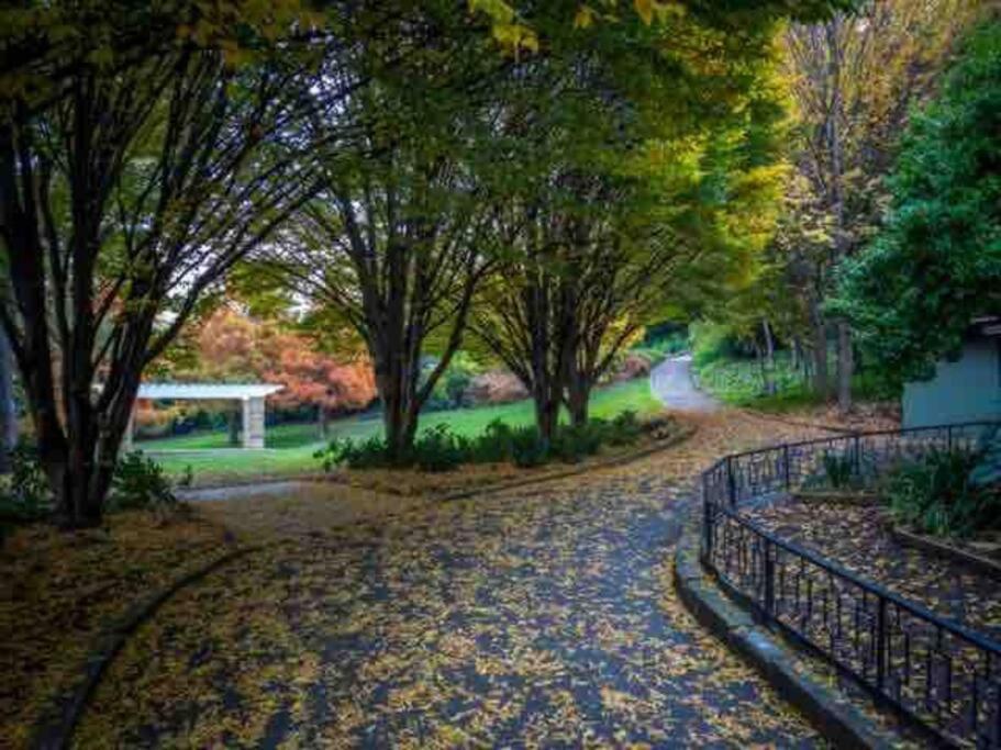 Apartment Sandy Bay Escape Hobart