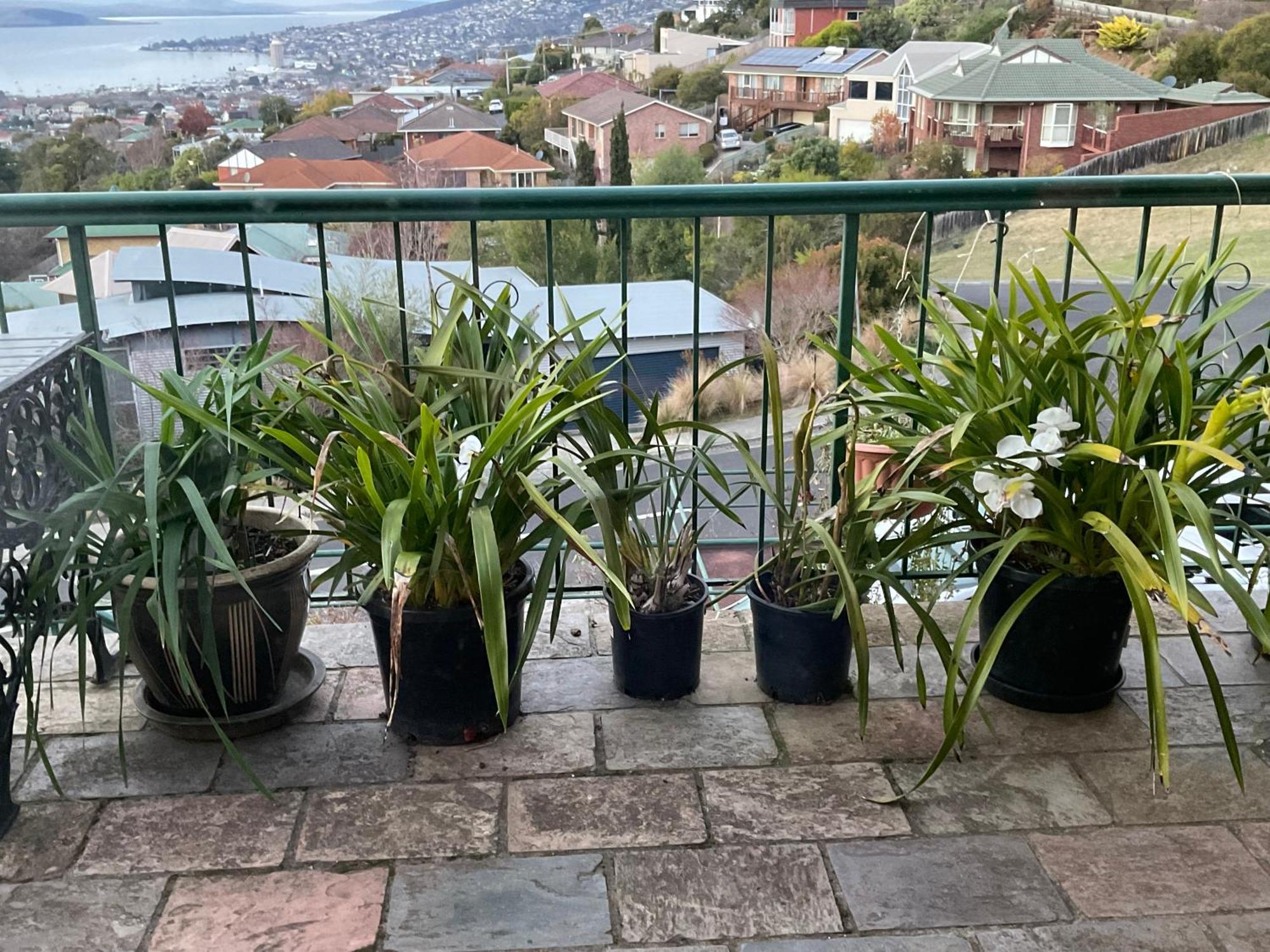 Vista Hobart