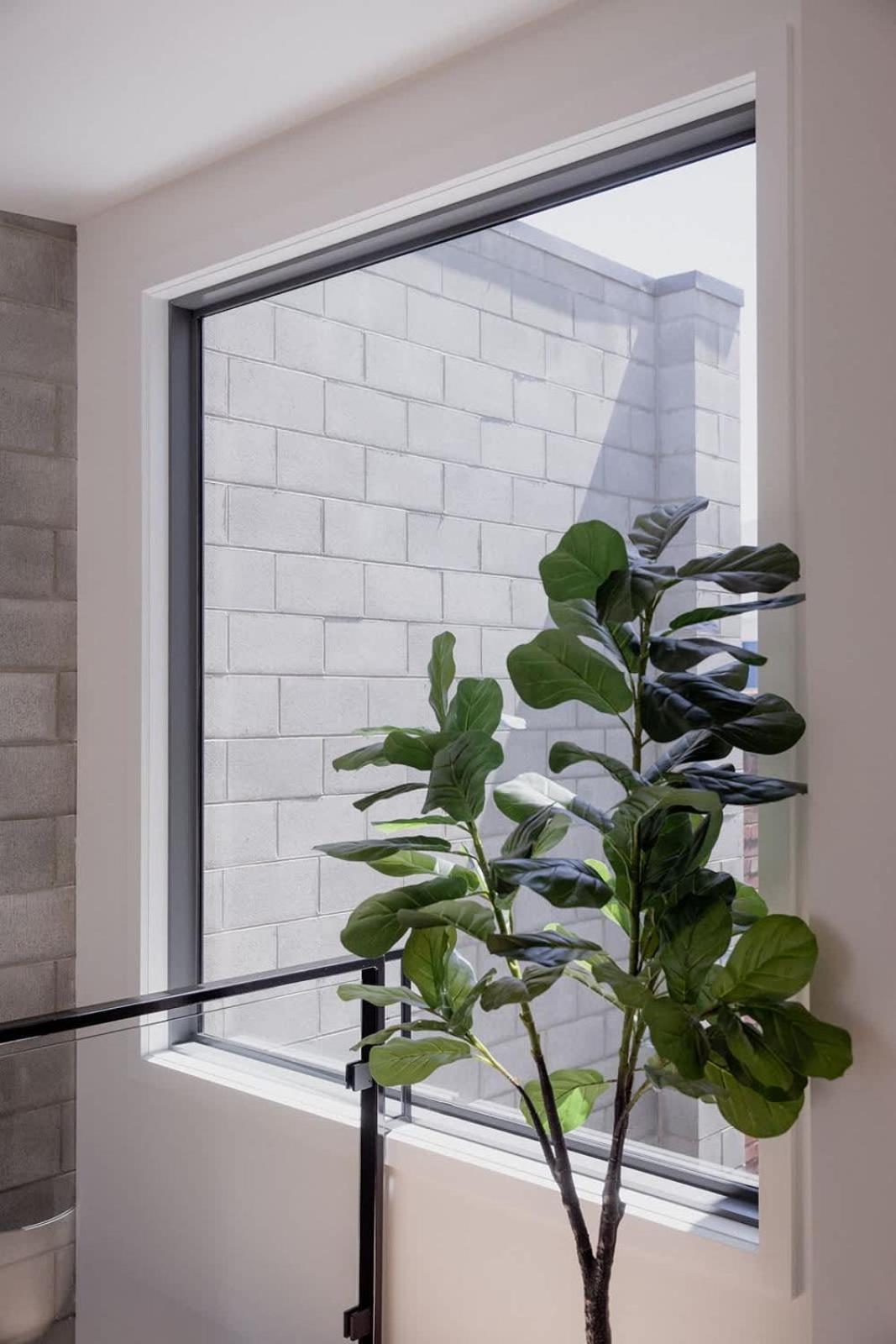 Harrington House Luxury In Cbd Hobart