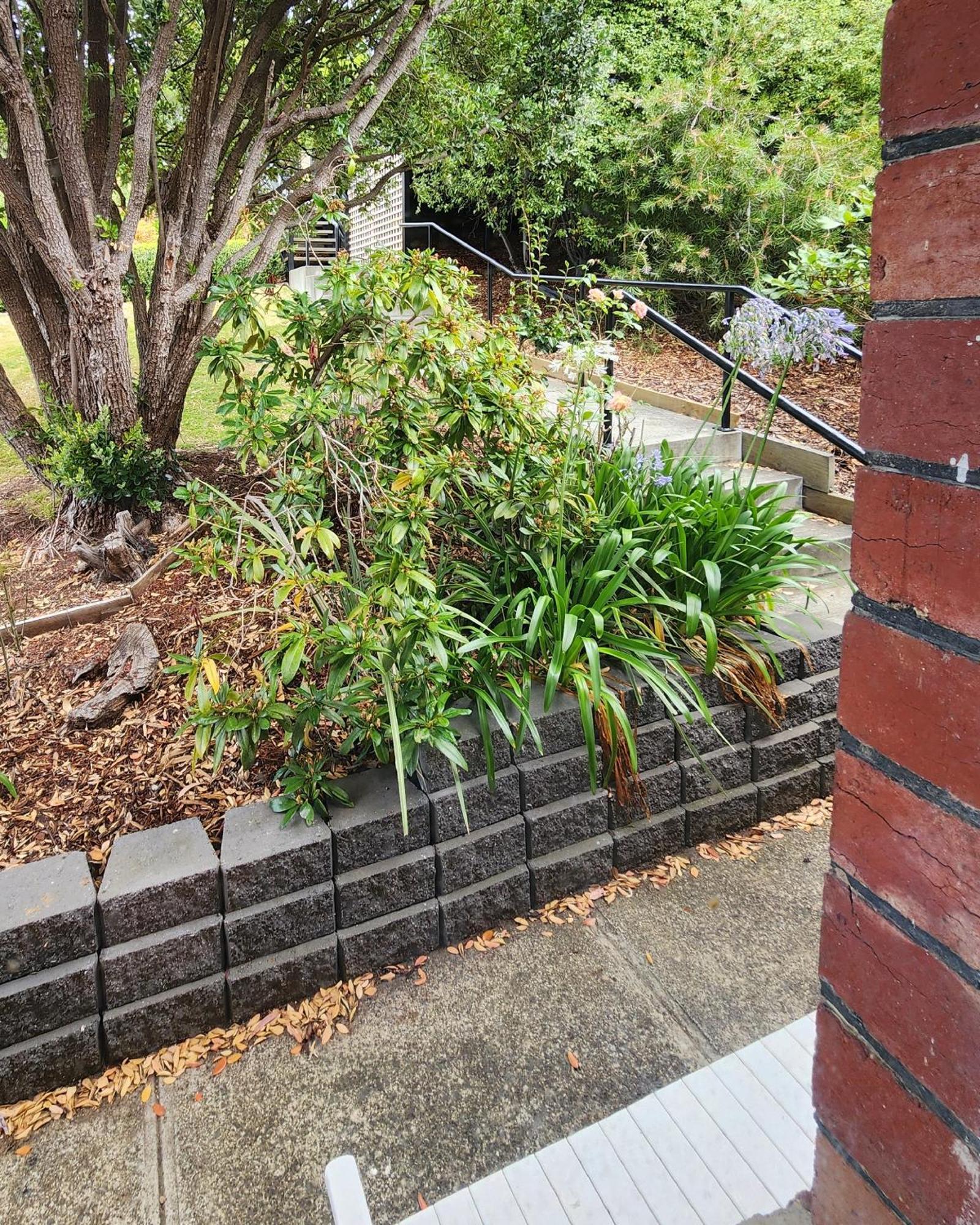 Bowen Toft House- South Hobart, From Villa Hobart