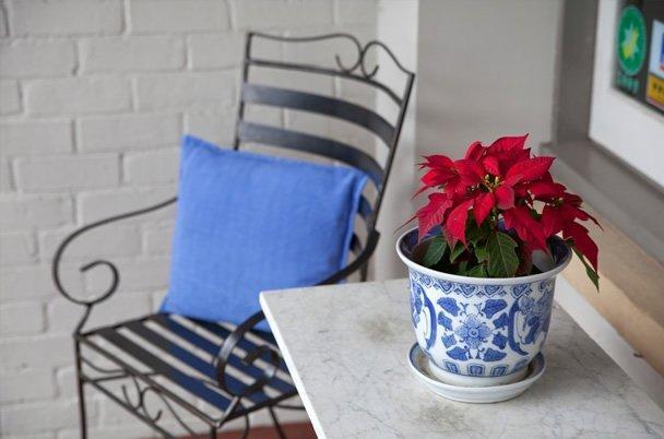 Bed & Breakfast Bellerive House 4*