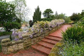 Elms Of Guest house