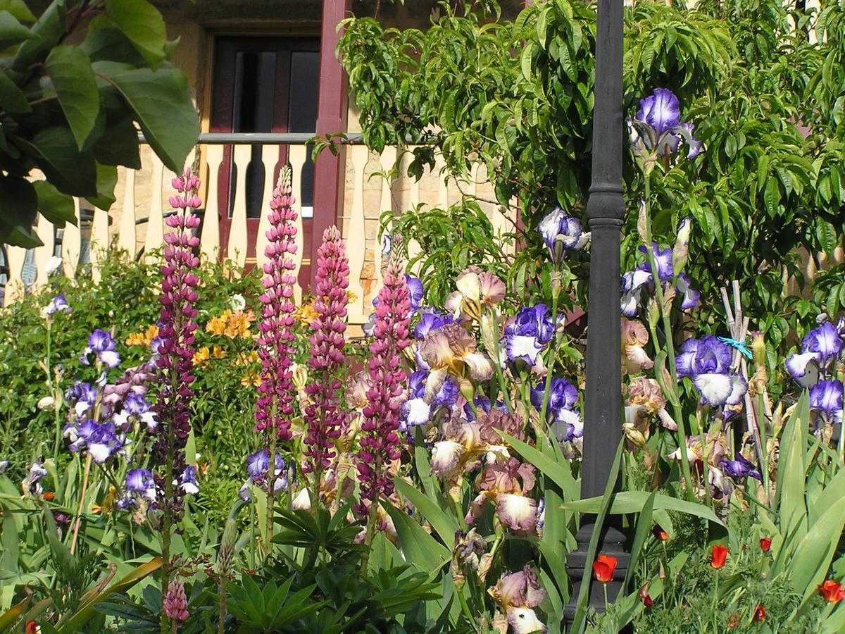 Bendalls Bed & Breakfast Hobart
