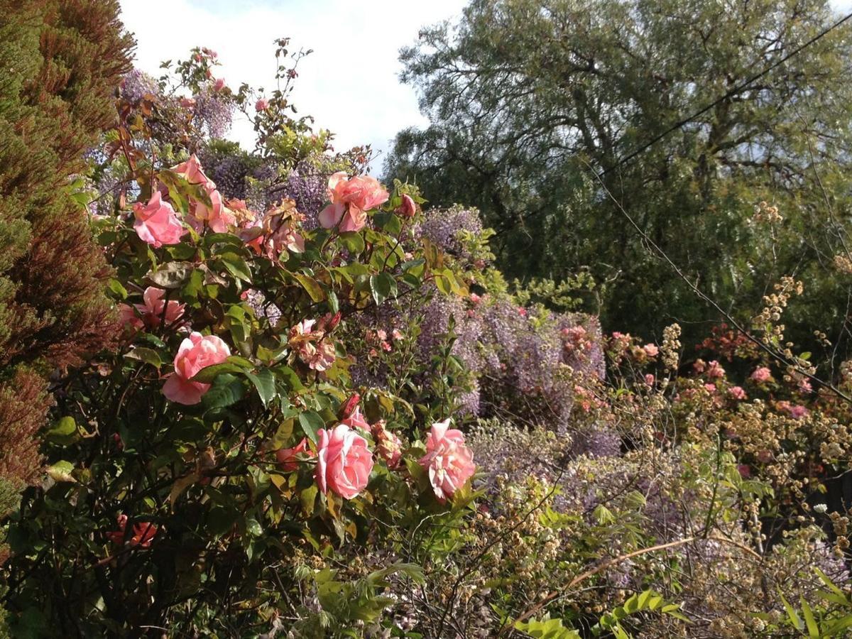 Natone Bed & Breakfast Hobart