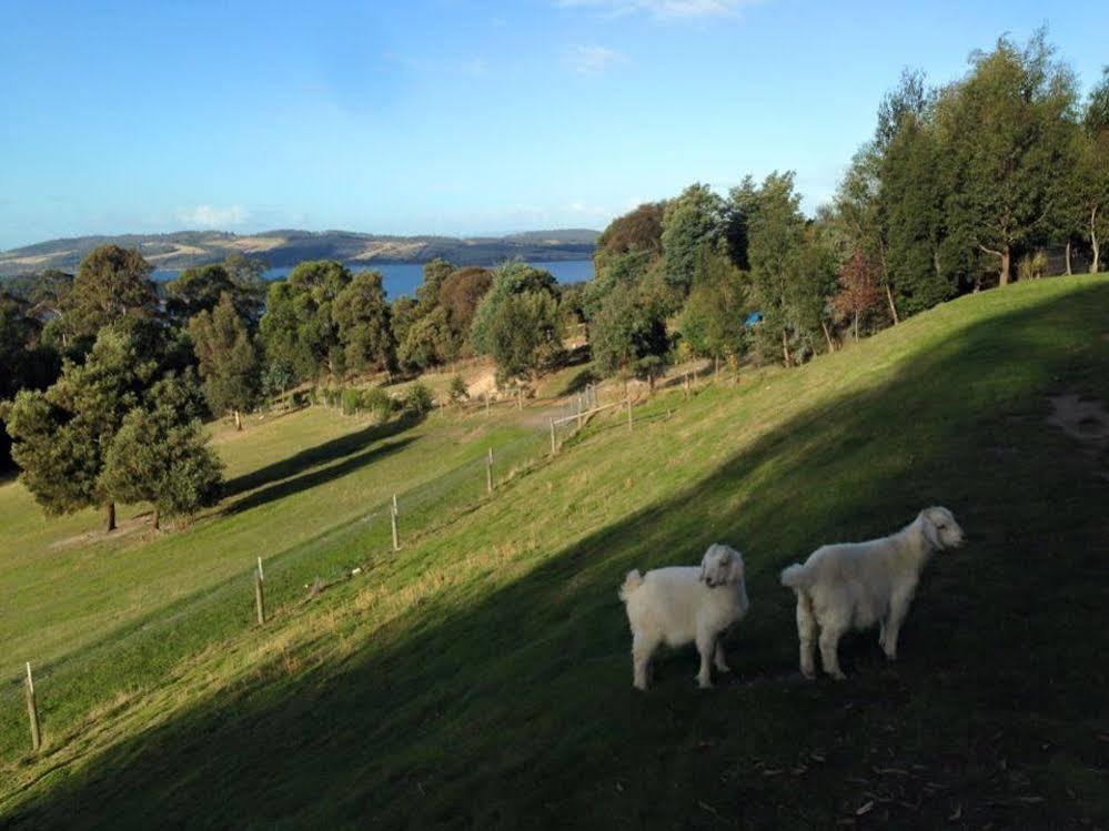 Arjuna Ridge Bed And Breakfast Hobart