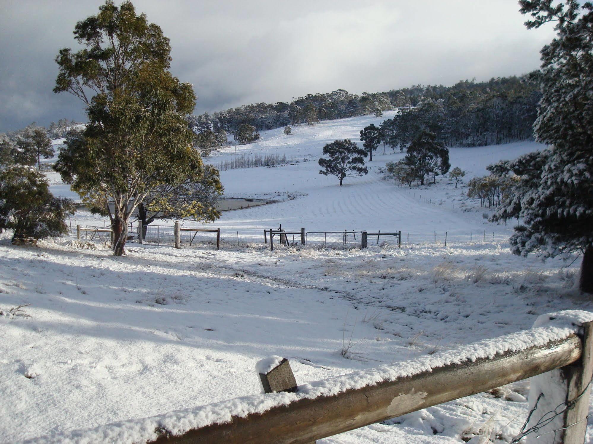 Heimat * Hobart