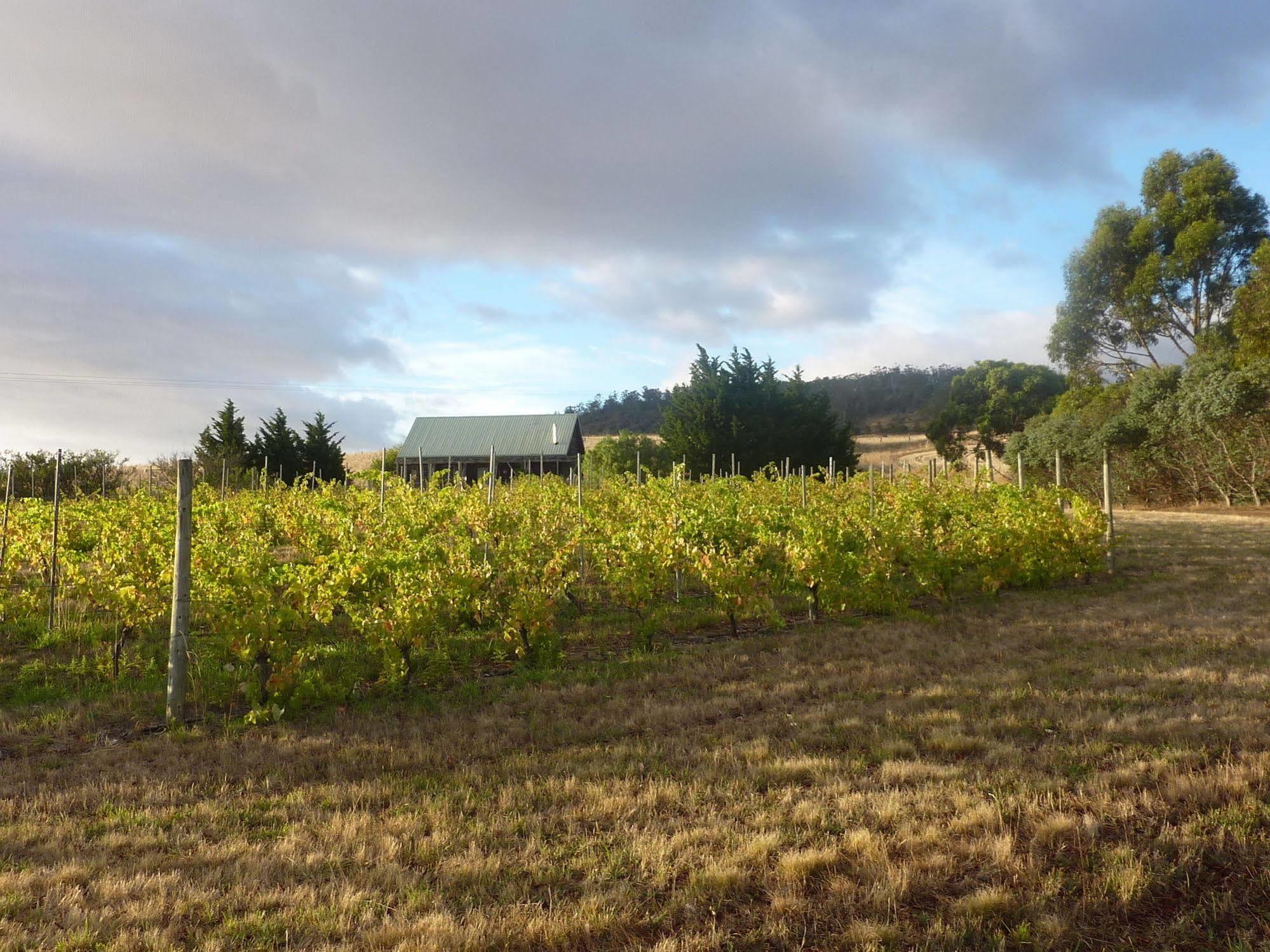 Charles Reuben Estate Country house Hobart