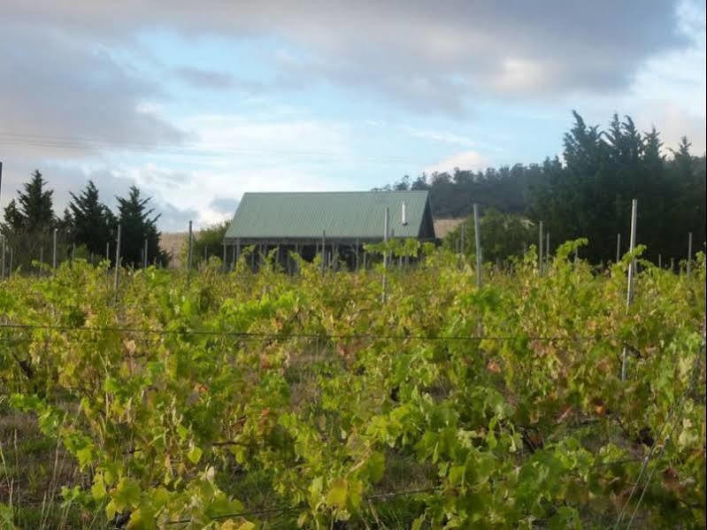 Charles Reuben Estate Hobart