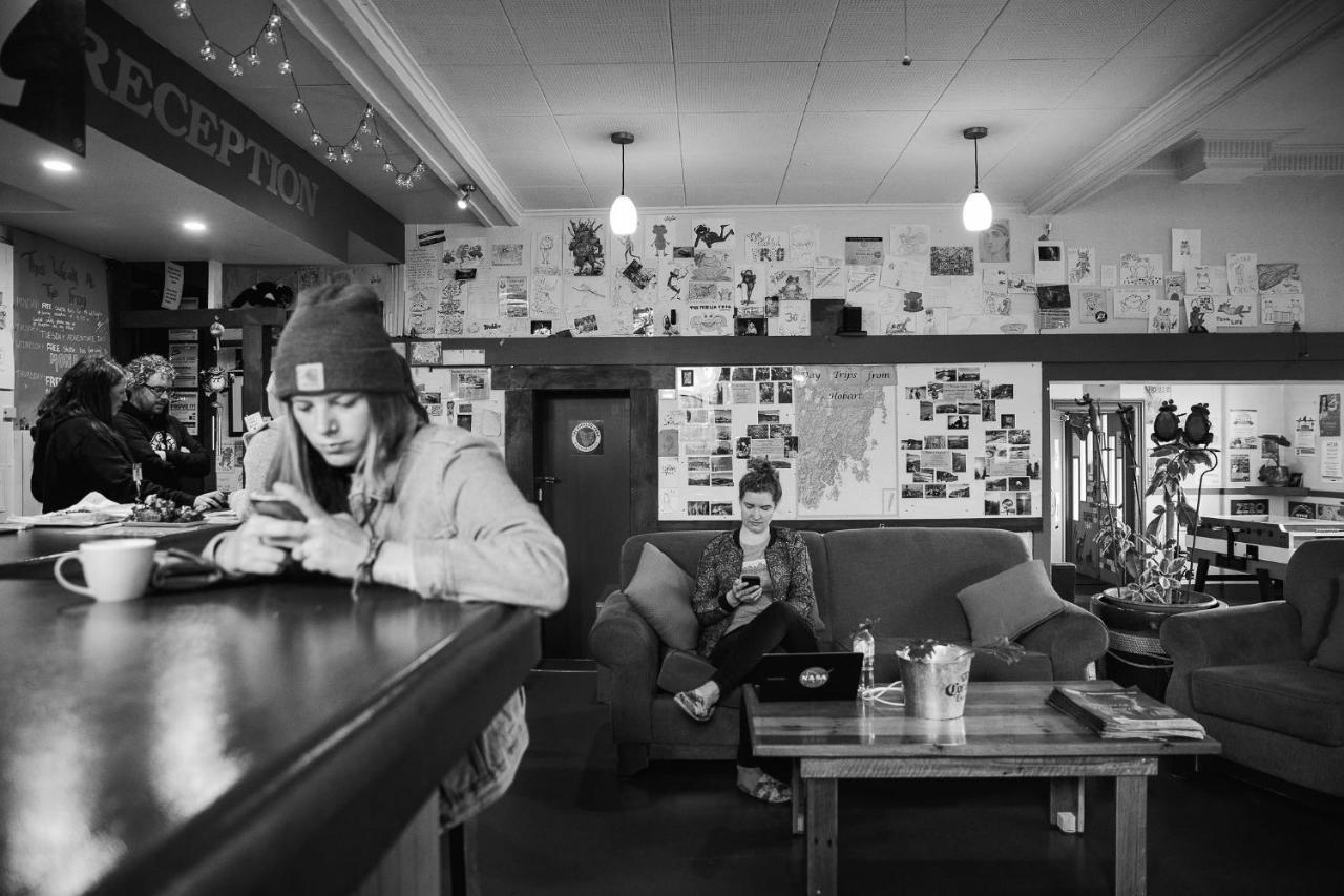 Hostel The Pickled Frog
