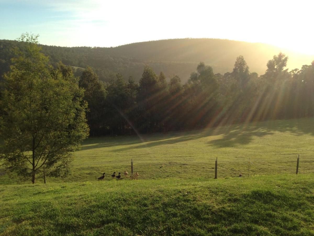 Arjuna Ridge Bed And Breakfast 4* Hobart