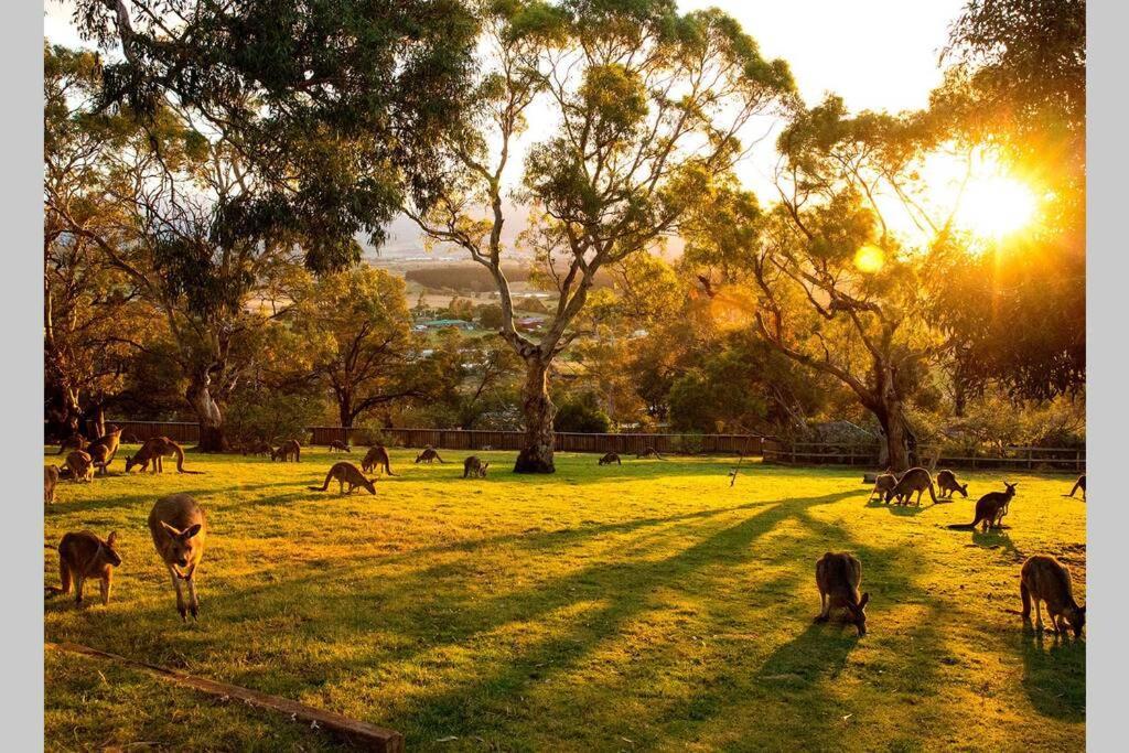 Location In Hobart! Luxury 4 Bedroom With Stunning Views
