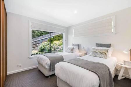 House On The Hill With A View-sleeps 12 *