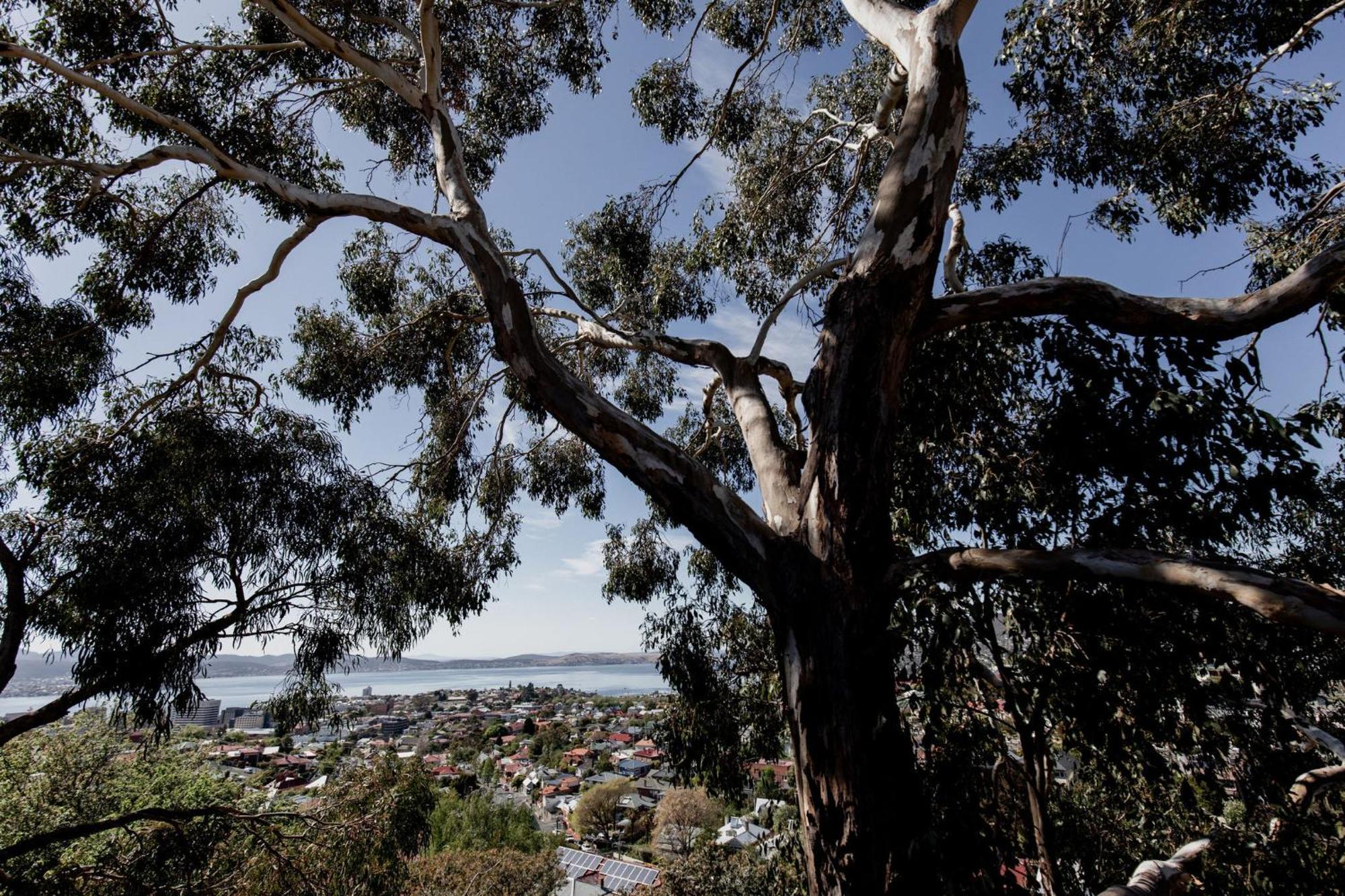 Trendy In The Heart Of West Apartment Hobart