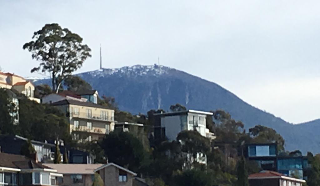 The Lookout Apartment