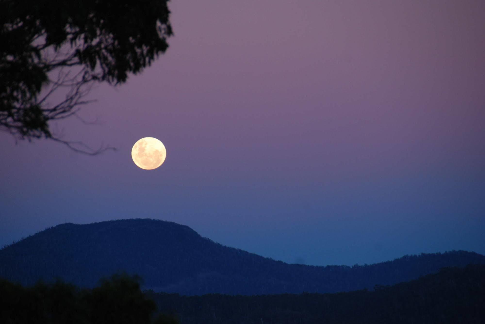 Farm stay Heimat Hobart