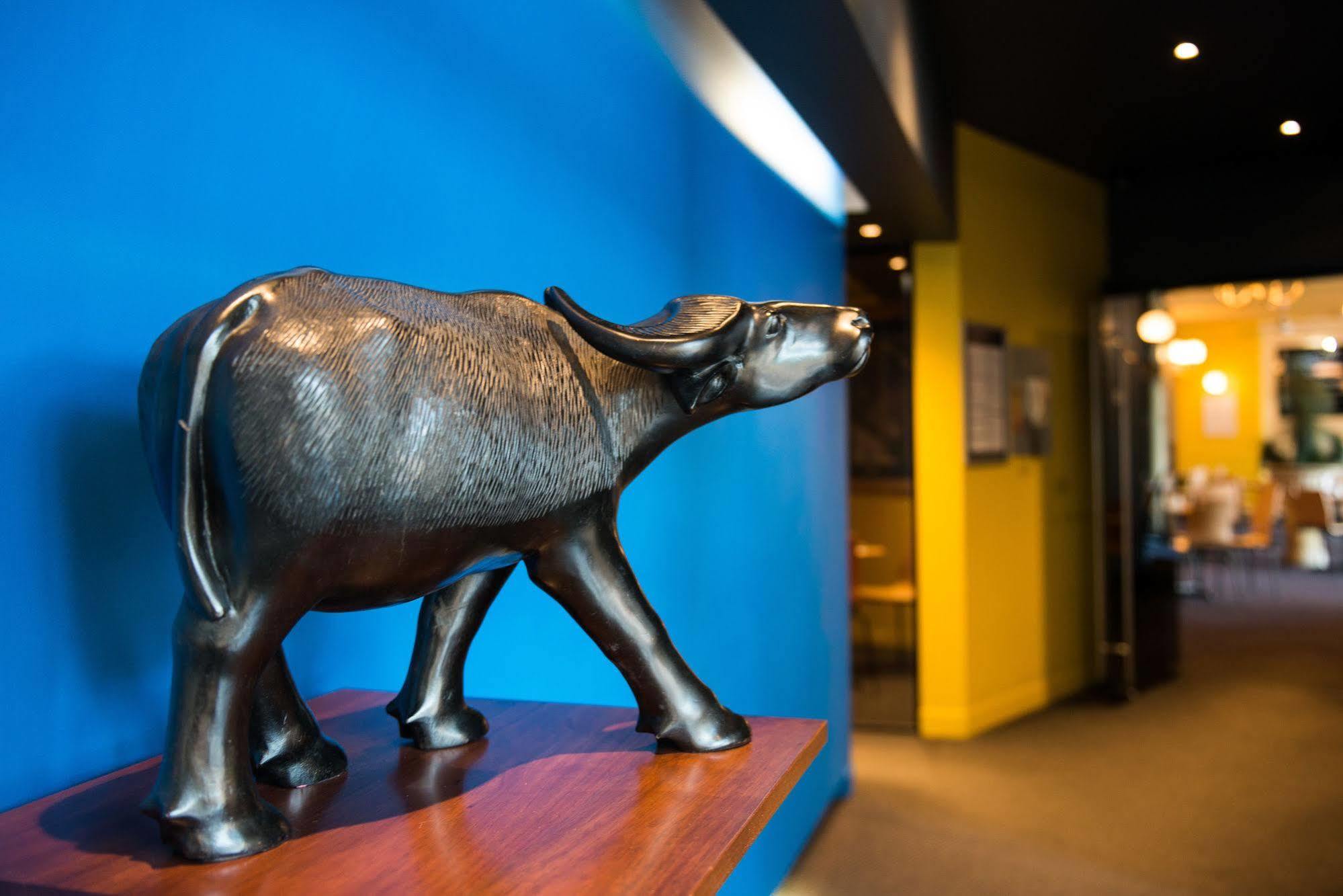 Black Buffalo Hotel